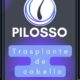 Copia de Pilosso Story Código QR= Enlaces